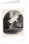 The Chestnuts in Bushey Park, the Forest Scenery of Great Britain by Anonymous