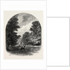The Chestnuts in Bushey Park, the Forest Scenery of Great Britain by Anonymous