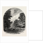 The Chestnuts in Bushey Park, the Forest Scenery of Great Britain by Anonymous