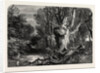 In the New Forest, Lymington by Anonymous