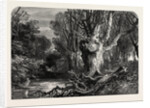 In the New Forest, Lymington by Anonymous