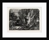 In the New Forest, Lymington by Anonymous
