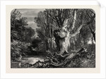 In the New Forest, Lymington by Anonymous