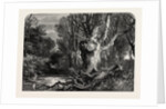 In the New Forest, Lymington by Anonymous