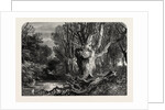In the New Forest, Lymington by Anonymous