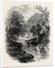 The Valley of the Wharfe, the Forest Scenery of Great Britain by Anonymous
