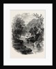 The Valley of the Wharfe, the Forest Scenery of Great Britain by Anonymous