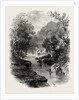 The Valley of the Wharfe, the Forest Scenery of Great Britain by Anonymous