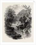 The Valley of the Wharfe, the Forest Scenery of Great Britain by Anonymous