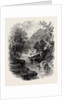 The Valley of the Wharfe, the Forest Scenery of Great Britain by Anonymous