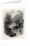 The Valley of the Wharfe, the Forest Scenery of Great Britain by Anonymous