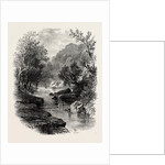 The Valley of the Wharfe, the Forest Scenery of Great Britain by Anonymous