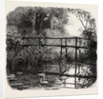 Near Godalming, the Forest Scenery of Great Britain by Anonymous