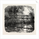 Near Godalming, the Forest Scenery of Great Britain by Anonymous