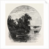 Innisfallen, Killarney, Ireland, Irish, Eire by Anonymous