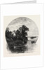 Innisfallen, Killarney, Ireland, Irish, Eire by Anonymous