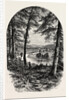 The Vale of Avoca, Ireland, Irish, Eire by Anonymous