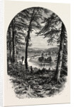 The Vale of Avoca, Ireland, Irish, Eire by Anonymous