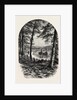 The Vale of Avoca, Ireland, Irish, Eire by Anonymous