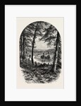 The Vale of Avoca, Ireland, Irish, Eire by Anonymous