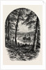 The Vale of Avoca, Ireland, Irish, Eire by Anonymous