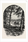 The Vale of Avoca, Ireland, Irish, Eire by Anonymous