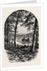 The Vale of Avoca, Ireland, Irish, Eire by Anonymous