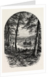 The Vale of Avoca, Ireland, Irish, Eire by Anonymous