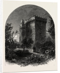 Blarney Castle, Ireland, Irish, Eire by Anonymous