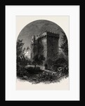 Blarney Castle, Ireland, Irish, Eire by Anonymous