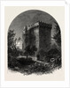 Blarney Castle, Ireland, Irish, Eire by Anonymous