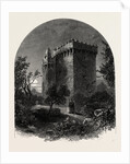 Blarney Castle, Ireland, Irish, Eire by Anonymous