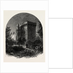 Blarney Castle, Ireland, Irish, Eire by Anonymous