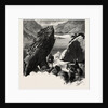 The Pike, Gap of Dunloe, Ireland, Irish, Eire by Anonymous