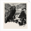 The Pike, Gap of Dunloe, Ireland, Irish, Eire by Anonymous