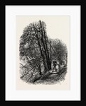In Cliefden Woods, Scenery of the Thames by Anonymous