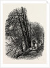 In Cliefden Woods, Scenery of the Thames by Anonymous