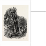 In Cliefden Woods, Scenery of the Thames by Anonymous