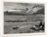 Pilchard Fishing of the Lizard, the South Coast by Anonymous