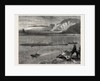 Pilchard Fishing of the Lizard, the South Coast by Anonymous