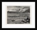 Pilchard Fishing of the Lizard, the South Coast by Anonymous