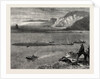 Pilchard Fishing of the Lizard, the South Coast by Anonymous