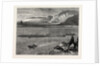 Pilchard Fishing of the Lizard, the South Coast by Anonymous