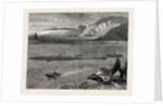 Pilchard Fishing of the Lizard, the South Coast by Anonymous