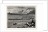 Pilchard Fishing of the Lizard, the South Coast by Anonymous