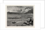 Pilchard Fishing of the Lizard, the South Coast by Anonymous