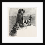 Bumble Rock, the South Coast by Anonymous