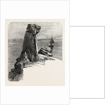 Bumble Rock, the South Coast by Anonymous