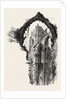 Fountains Abbey by Anonymous