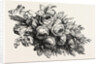 Flowers by Anonymous